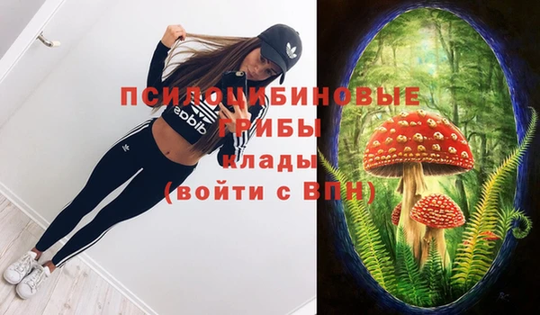 соль ск Алексеевка