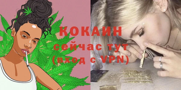apvp Арсеньев