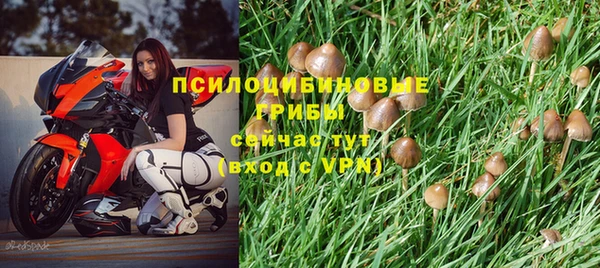 кокс Аркадак