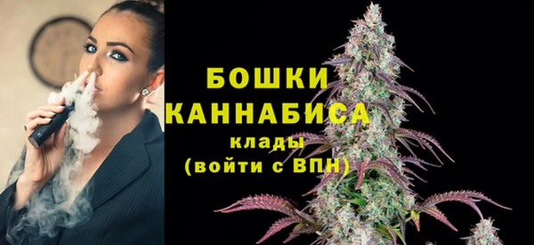 apvp Арсеньев