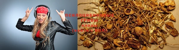кокс Аркадак