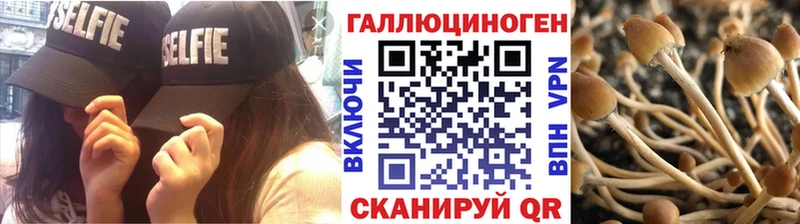 Псилоцибиновые грибы прущие грибы  Рузаевка 